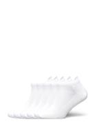 Unisex 5-Pack Running Socks ZEBDIA White
