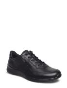 Irving ECCO Black