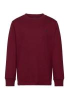 Cotton Jersey Long-Sleeve Tee Ralph Lauren Kids Burgundy