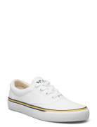 Logo Cotton Canvas Sneaker Polo Ralph Lauren White