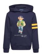 Polo Bear Fleece Hoodie Ralph Lauren Kids Navy