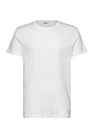 Centre T-Shirt Björn Borg White
