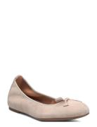 Acor_25_Ks UNISA Beige