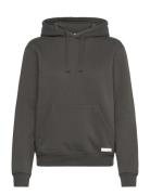 Centre Hoodie Björn Borg Grey