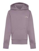 Arch Po Lt Billabong Purple