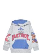 Sweats Paw Patrol Grey