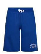 Shorts Champion Blue