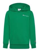 Hooded Sweatshirt Champion Green