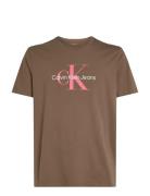 Ss Hero Monologo Tee 30S Calvin Klein Jeans Brown