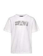 T-Shirt EA7 White