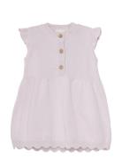 Dress Knit Fixoni Purple