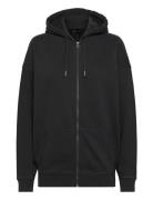 Studios Zip Hoodie Superdry Black