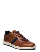 Trint Dune London Brown