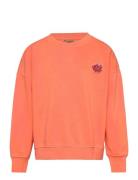 Tnd Neo TUMBLE 'N DRY 