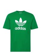 Trefoil T-Shirt Adidas Originals Green