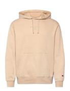 Hooded Sweatshirt Champion Beige