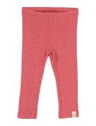 Legging Modal Dot Petit Piao Red