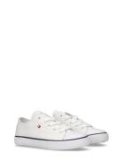 Tommy Hilfiger Low Cut Lace-Up Sneaker Tommy Hilfiger White