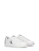 Kids Low Cut Lace-Up Sneaker Calvin Klein White