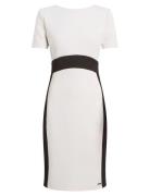 Neoprene Scuba Two Color Dress Calvin Klein White