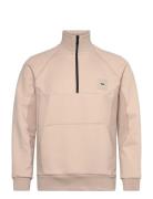 Sweat Rib BOSS Beige