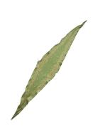 Alonsa Diamond Scarf Becksöndergaard Green