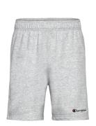 Bermuda Champion Grey
