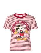 Mickey Mouse Desigual Red