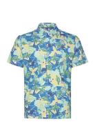 Ibiza Print Polo Original Penguin Golf Patterned