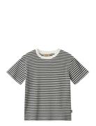 T-Shirt S/S Fabian Wheat Navy