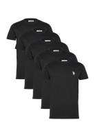 Bertil Reg Sj 5 Pk Uspa M Tee U.S. Polo Assn. Black