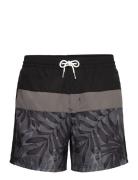 O'neill Cali Block 15'' Swimshorts O'neill Black