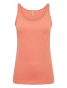 Sc-Pylle Soyaconcept 