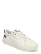 Palla Ace Lo Surplus Palladium White