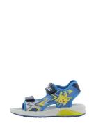 Pokemon Sandal Leomil Blue