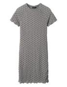 Nlfralma Ss Short Lace Dress LMTD Grey