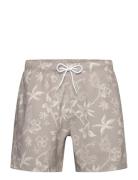 Hco. Guys Swim Hollister Grey