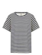 Sc-Barni Soyaconcept Navy