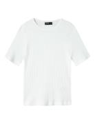 Nlfninusa Ss Short Top LMTD White