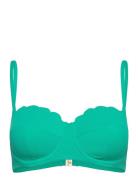 Scallop Pb Hunkemöller Green