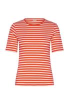 Slim Striped 1X1 Ribbed Ss T-Shirt GANT Orange