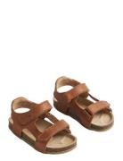 Sandal Corey Wheat Brown