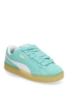 Suede Xl Jr PUMA Blue