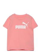Ess No. 1 Logo Tee Ps PUMA 