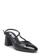 Zeina Sandal Steve Madden Black