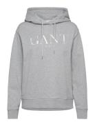 Tonal Graphic Hoodie GANT Grey
