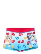 Swimsuit Bluey Patterned