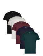 Icon T Shirt 5 Pack Hollister Patterned