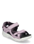 Biom Raft ECCO Purple