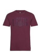 Graphic Crewneck Tee Applique Levi's® Burgundy